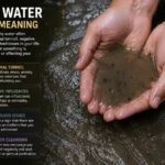 dirty-water-dream-meaning