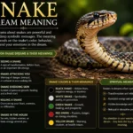 snake-dream-meaning