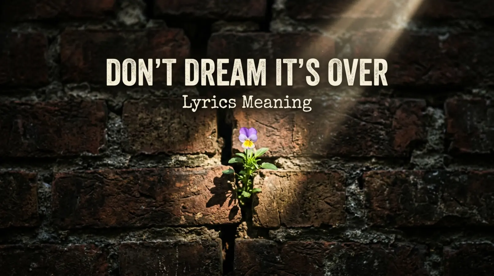 Don’t Dream It’s Over Lyrics Meaning