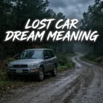 Lost Car Dream Meaning